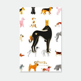 All The Ways To Say Pin, Greyhound