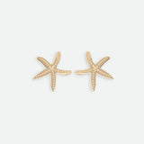 All The Ways To Say Pin, Sea star