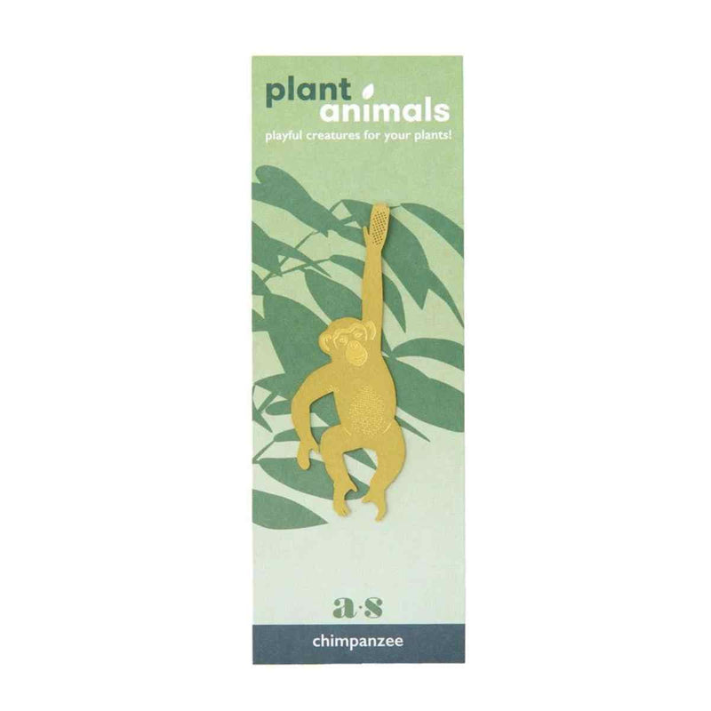 Another Studio Plant Animal, Chimpansee