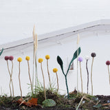 Aveva Design ENDLESS FLOWER, canadathistle