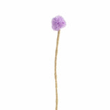 Aveva Design ENDLESS FLOWER, canadathistle