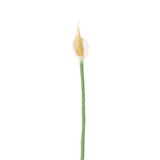 Aveva Design ENDLESS FLOWER, flamingo, white