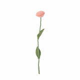 Aveva Design ENDLESS FLOWER, rose, peach