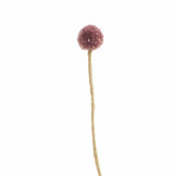 Aveva Design ENDLESS FLOWER, royal thistle