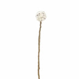 Aveva Design ENDLESS FLOWER, snowball