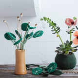 Aveva Design ENDLESS FLOWER, stephania