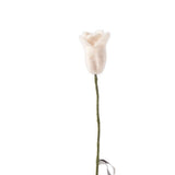 Aveva Design ENDLESS FLOWER, TULIP, white