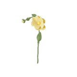 Aveva Design ENDLESS FLOWER, wild rose, lemon