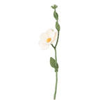 Aveva Design ENDLESS FLOWER, wild rose, white