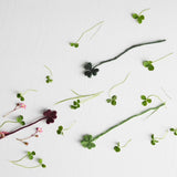 Aveva Design ENDLESS FLOWER Wollen bladgroen, Clover light green