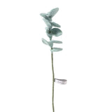 Aveva Design ENDLESS FLOWER Wollen bladgroen, Eucalyptus silver green