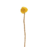 Aveva Design ENDLESS FLOWER Wollen bloem, Sunball thistle