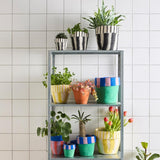 Aveva Design FLOWER POT 20, M, lemonade