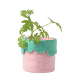 Aveva Design FLOWER POT Wollen Bloempot, Pink-Green