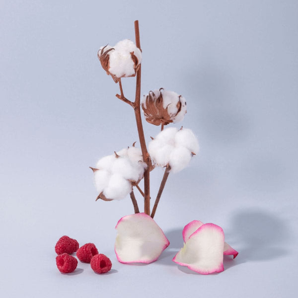 Compagnie de Provence Vloeibare zeep uit Marseille 300ml, Fleur de Coton