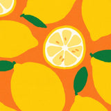 Cuikui Houten Handwaaier met print, Lemons