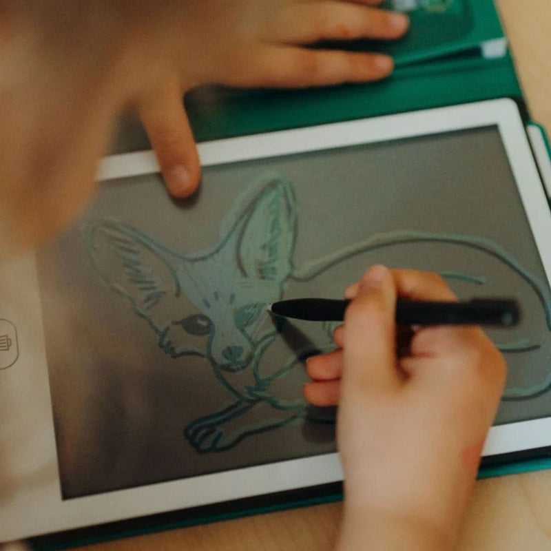 Kidywolf KIDYDRAW-MINI Tekenblok 30 Dieren over de hele wereld