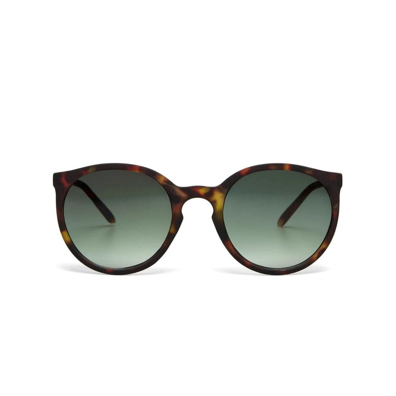 Okkia BERLINO Zonnebril, Classic Havana