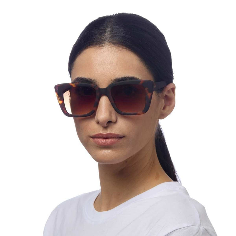 Okkia ELBA Zonnebril, Classic Havana