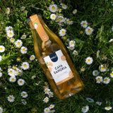 Pineut DIY Cava Sangria