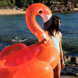 Sunnylife Luxe Ride-On Float, Rosie Watermelon