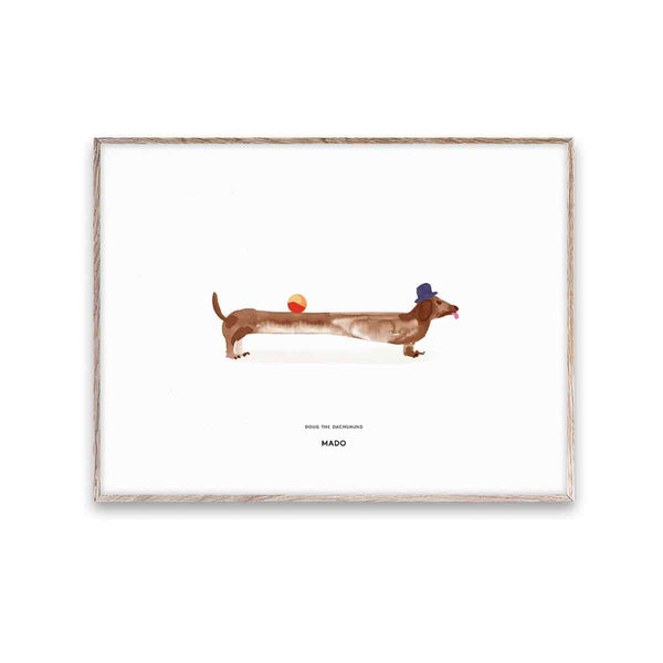 MADO - Paper Collective Poster Doug the Dachshund 30 x 40 cm